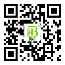 手機網(wǎng)站